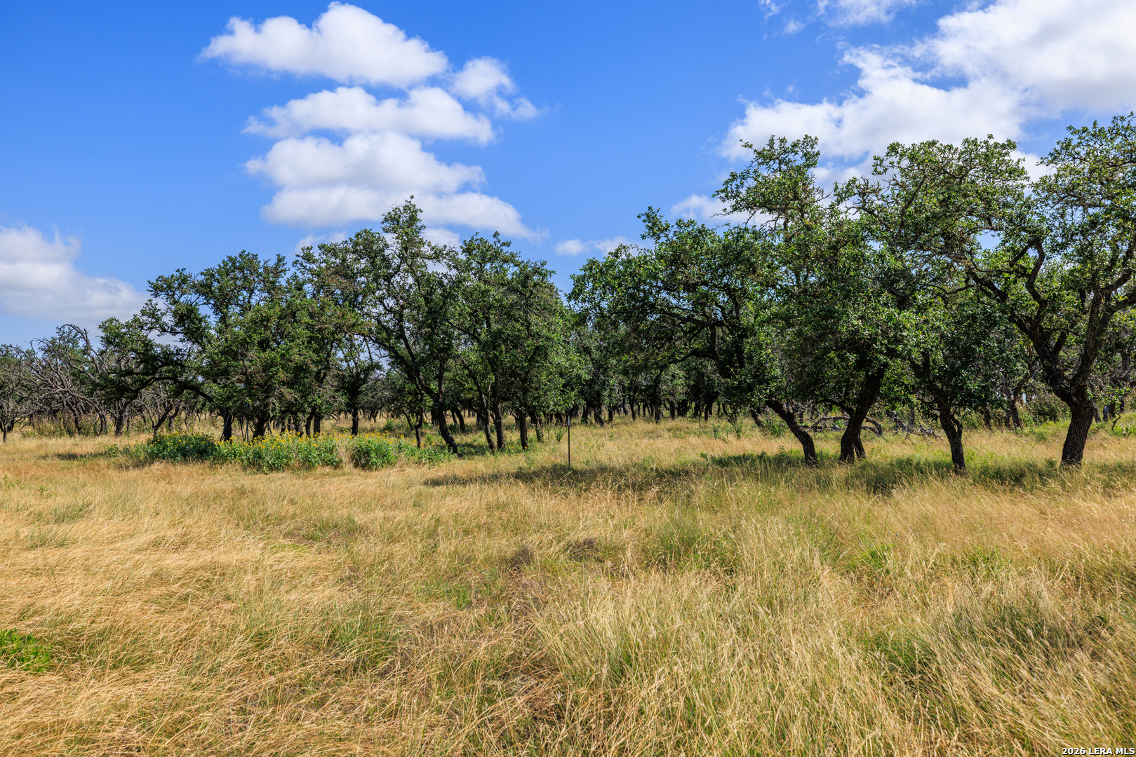 436 Stevens Ranch Harper, TX 78631 - Photo 26 of 29 Gallery Image 26