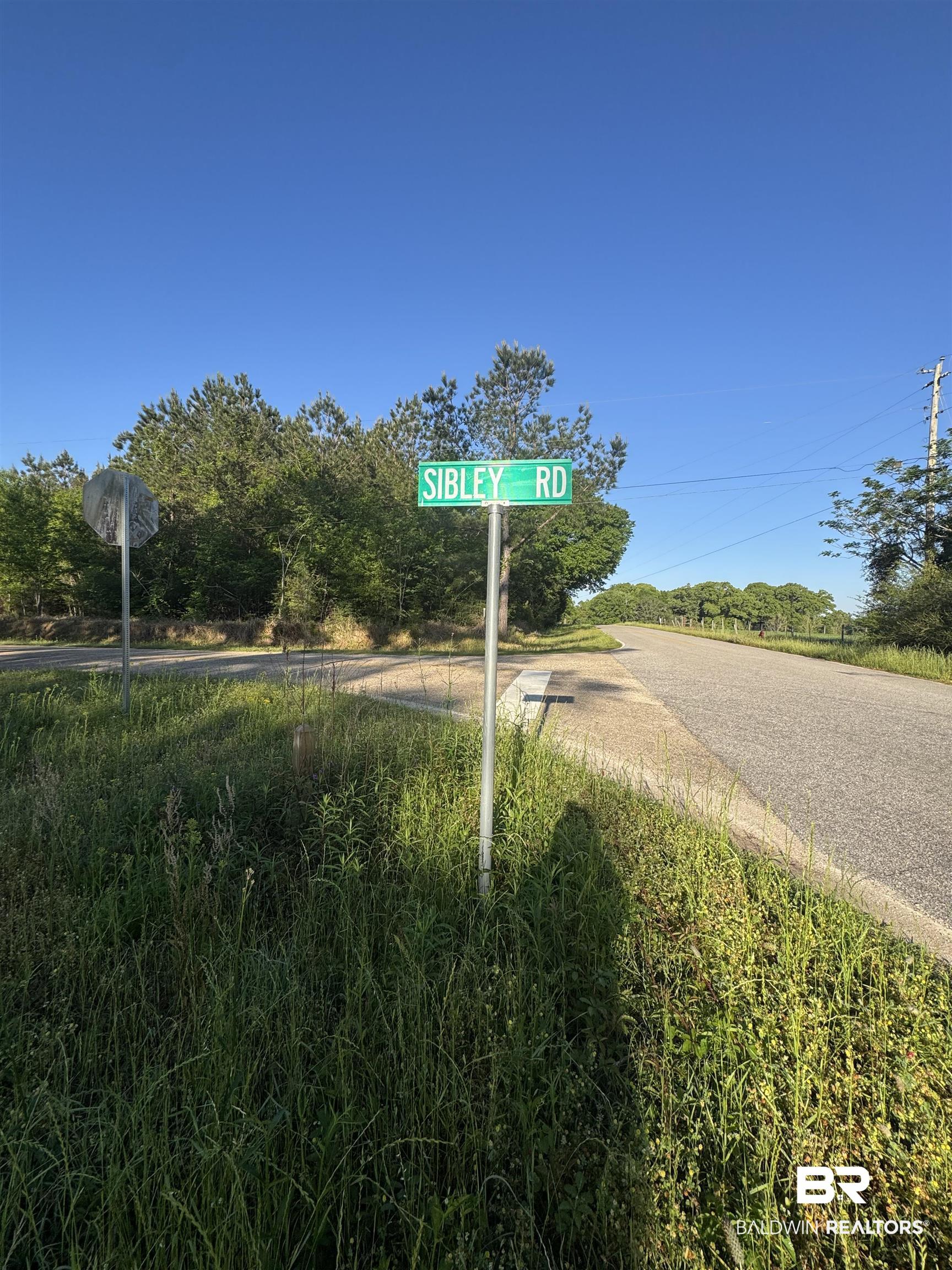 0 Charlie Head Road Stapleton, AL 36578 - Photo 4 of 7
