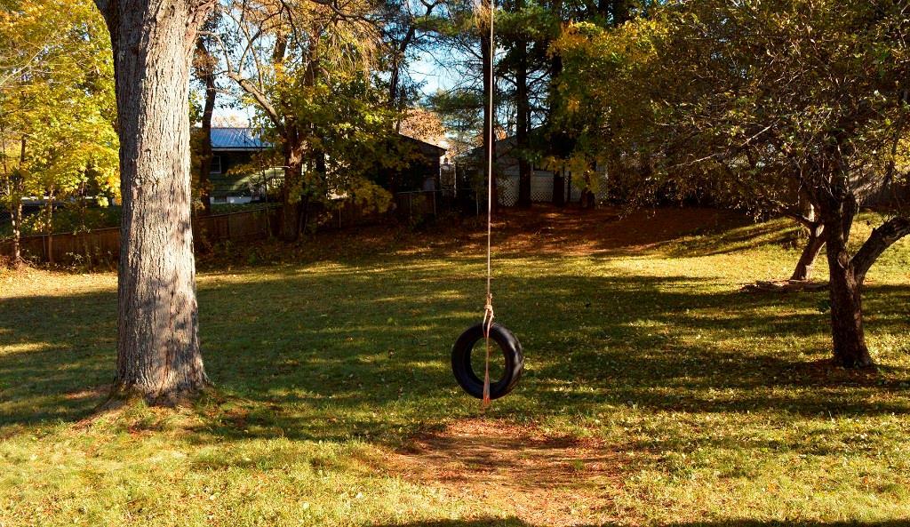40 Ferry Road Lisbon, ME 04250 - Photo 20 of 22 Tire swing just waiting to be used...