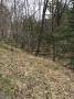 0 Elliotsville Road Monson, ME 04464 - Photo 3 of 3 IMG_2333