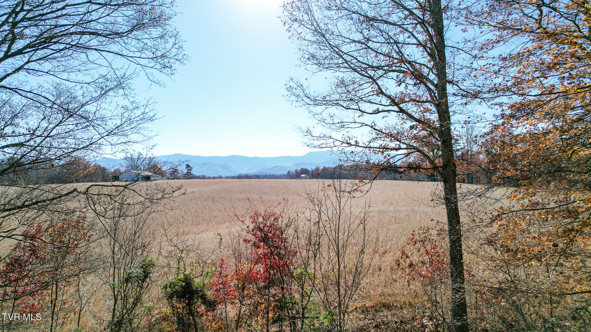 190 Treadway Road Chuckey, TN 37641 - Photo 5 of 34 DJI_0209