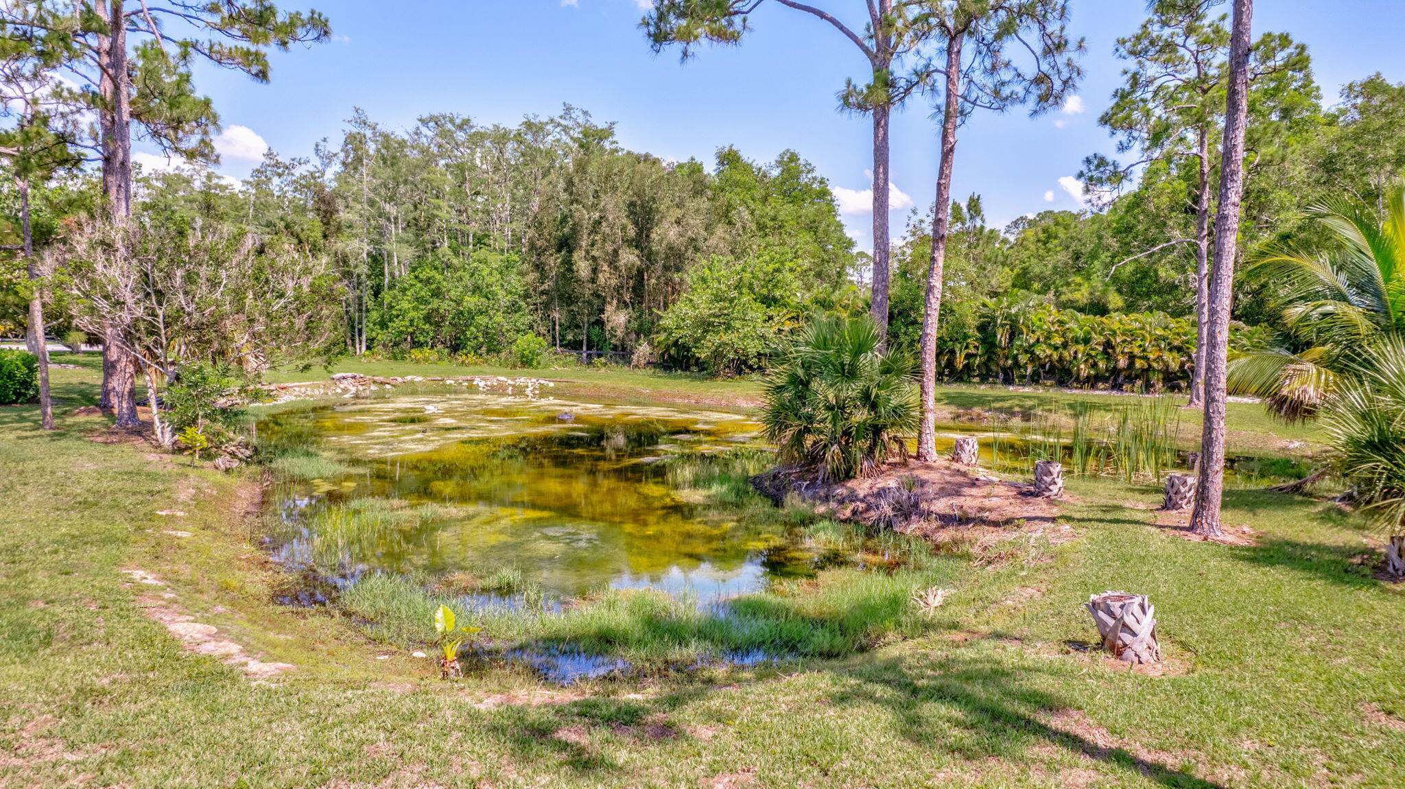 5446 Reynolds Road Lake Worth, FL 33449 - Photo 51 of 57 a view of outdoor space with garden