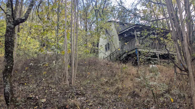a backyard of a house with lots of plants and large trees