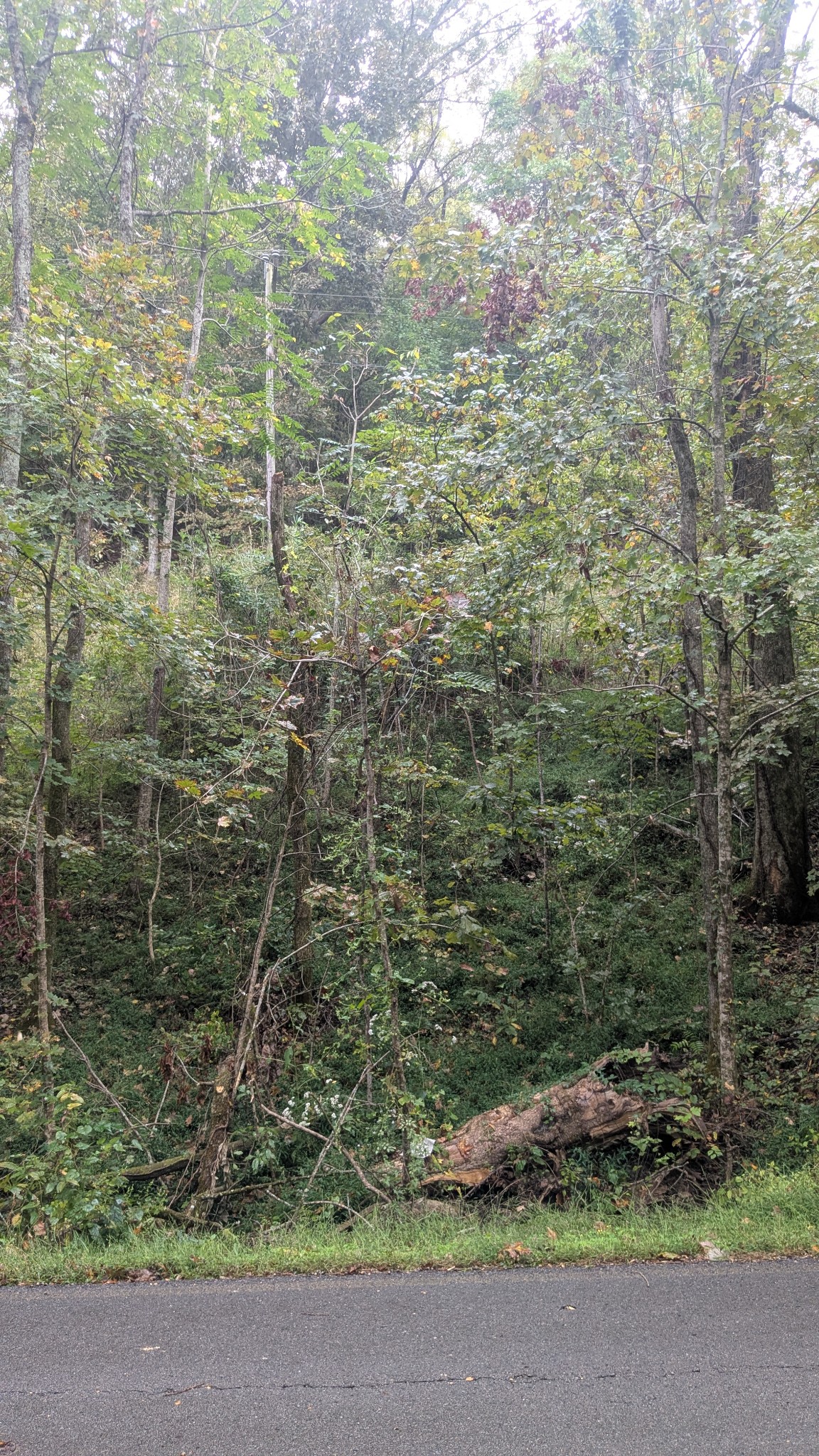 0 Greenvale Road Auburntown, TN 37016 - Photo 12 of 16