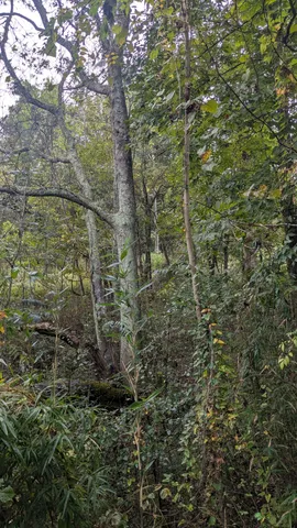 $189,000 | 0 Greenvale Road, Auburntown, TN 37016