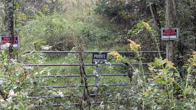 a view of outdoor space and yard