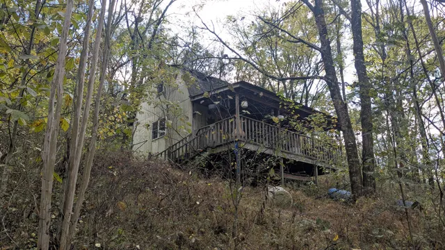 a view of a yard of a house