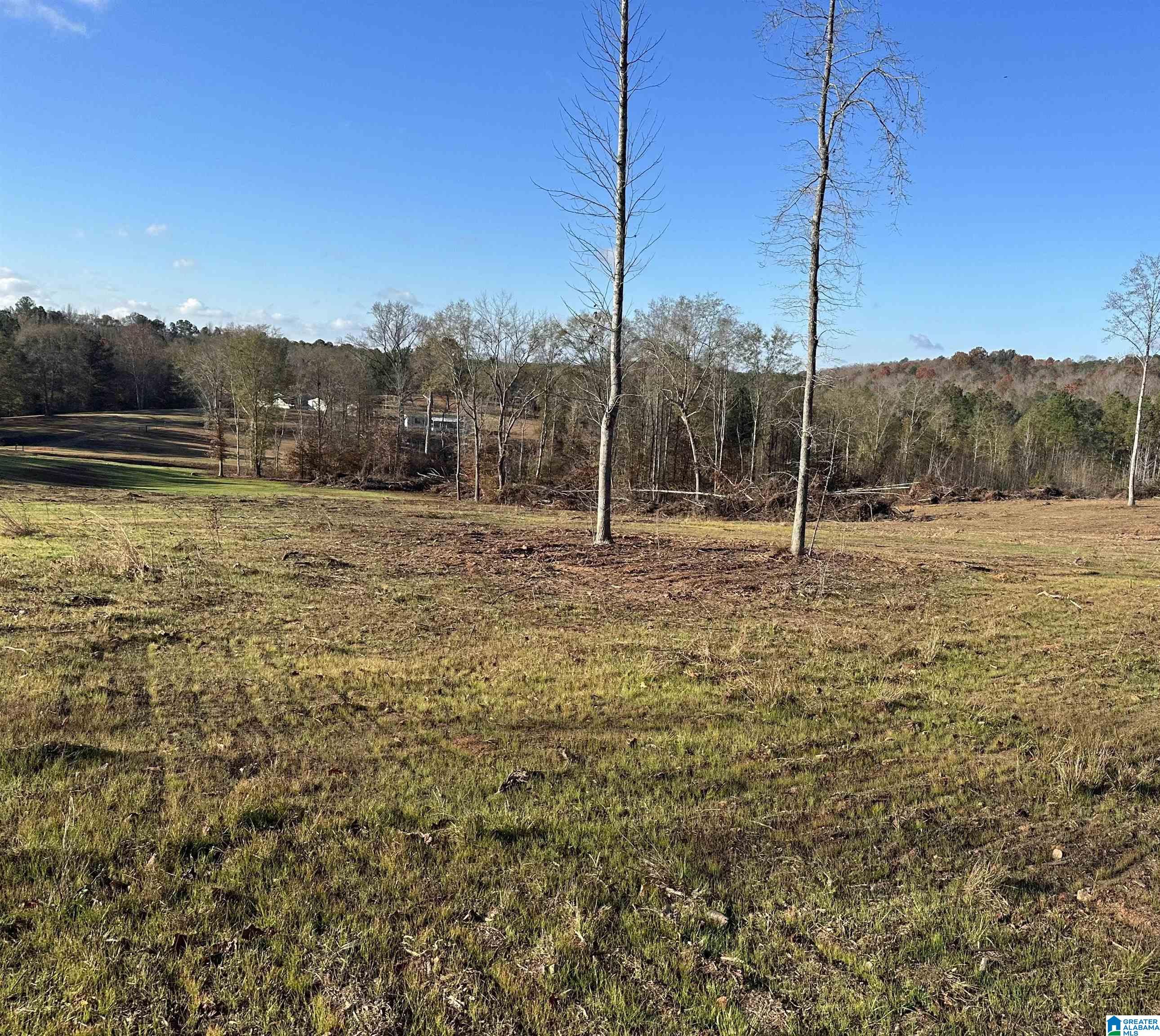 0 County Road 4 Wedowee, AL 36278 - Photo 9 of 24