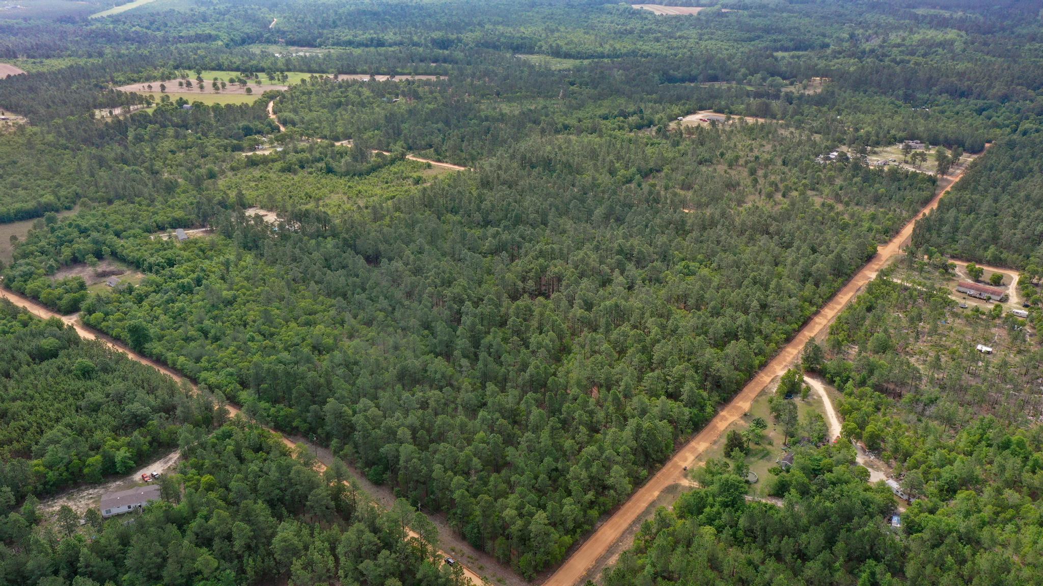 0 Webbs Pond Road Williston, SC 29853 - Photo 3 of 9