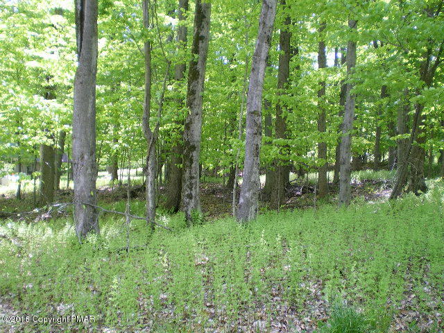 614 Fawn Road Pocono Lake, PA 18347 - Photo 1 of 1 a backyard of a house with lots of green space and chair