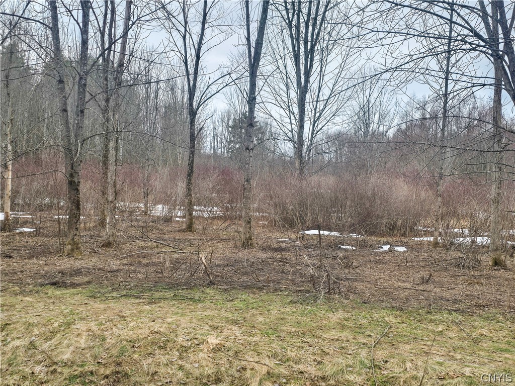 0 Depot Road Cleveland, NY 13042 - Photo 4 of 9