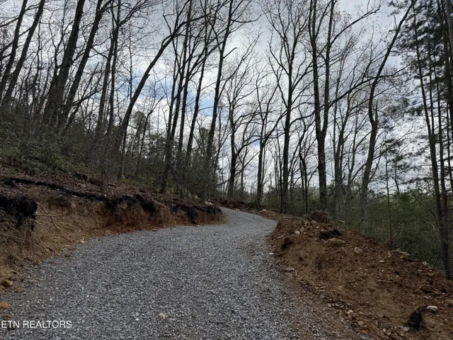 $129,500 | 393 Green Forest Road, Cosby, TN 37722