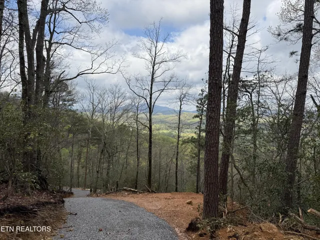 $129,500 | 393 Green Forest Road, Cosby, TN 37722