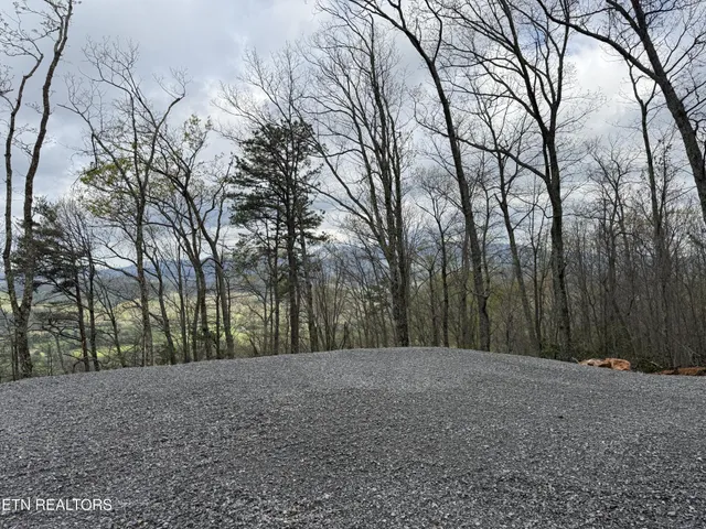 $129,500 | 393 Green Forest Road, Cosby, TN 37722