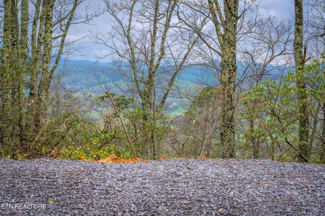 $129,500 | 393 Green Forest Road, Cosby, TN 37722