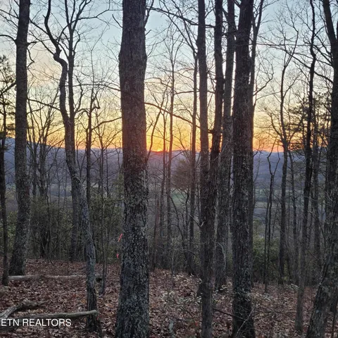 $129,500 | 393 Green Forest Road, Cosby, TN 37722