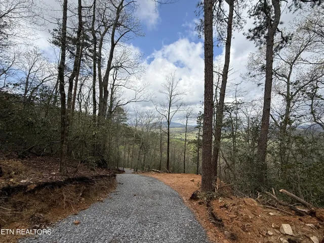 $129,500 | 393 Green Forest Road, Cosby, TN 37722