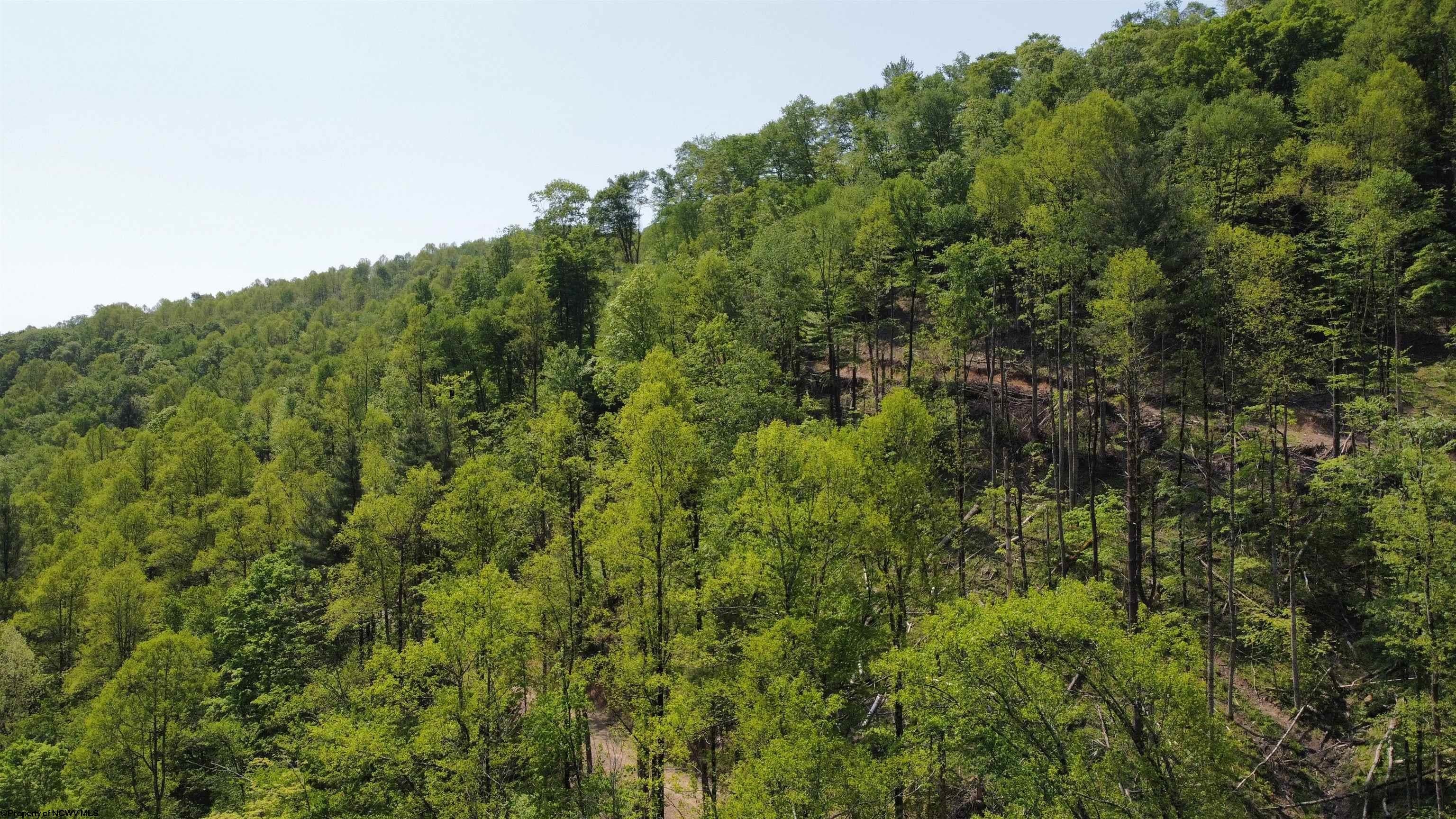 206 Roads End Road Parsons, WV 26287 - Photo 21 of 38 Gallery Image 21