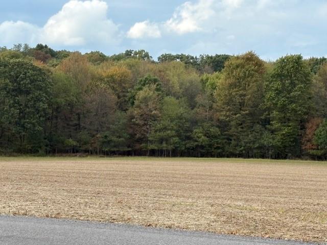 0 Hilliard Road Petrolia, PA 16050 - Photo 11 of 11