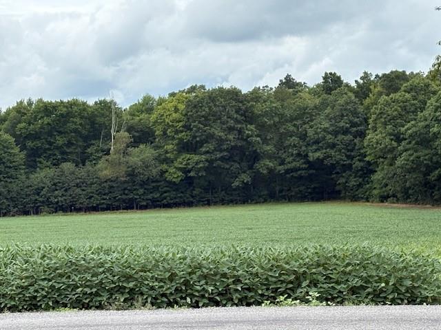 0 Hilliard Road Petrolia, PA 16050 - Photo 10 of 11