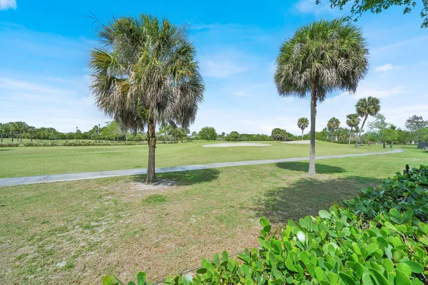 a view of a grassy field with trees