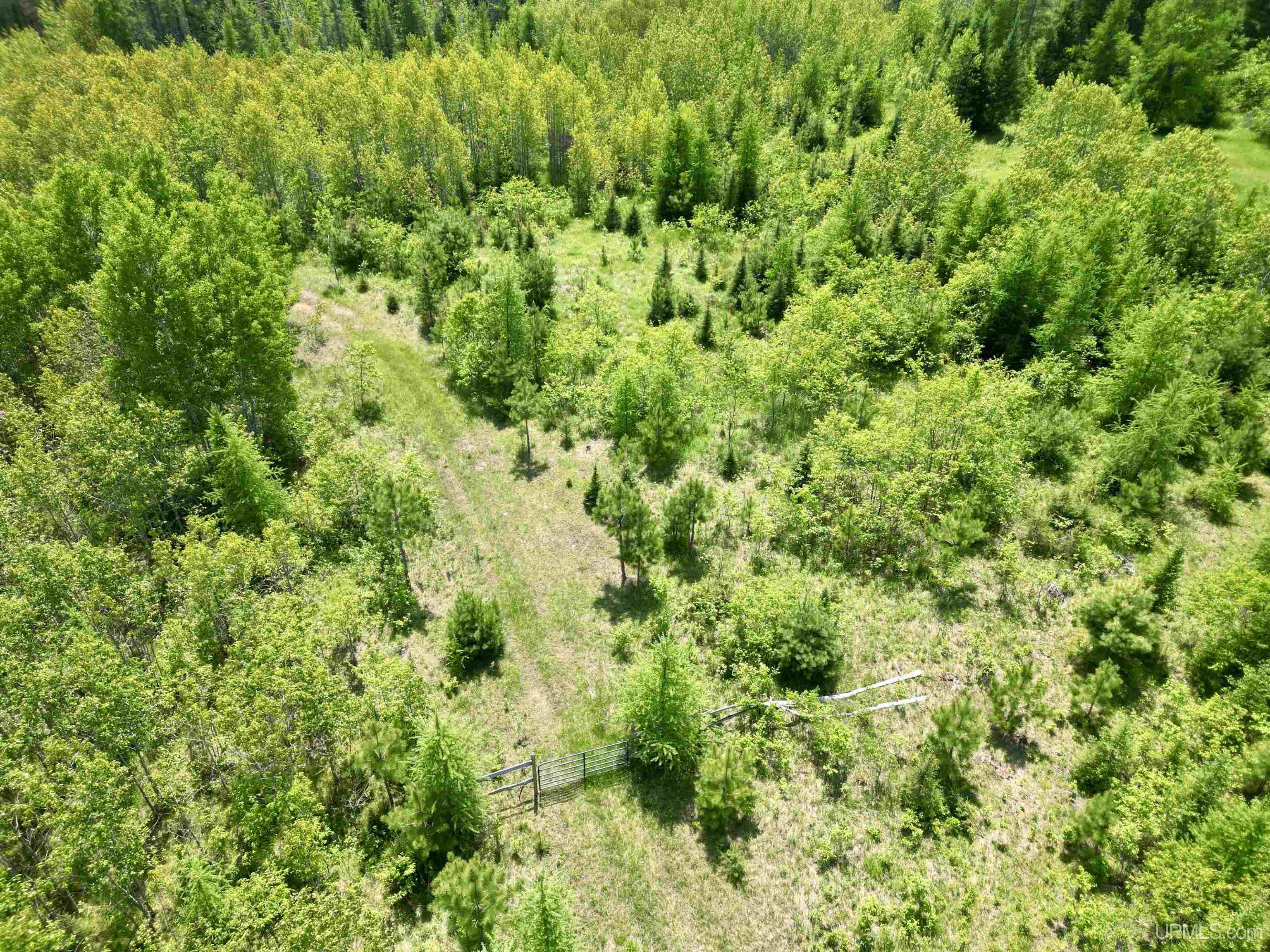 400 Rd Perronville Mi 49807 Road Bark River, MI 49807 - Photo 7 of 30