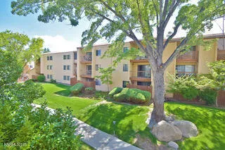a view of a house with backyard and a tree