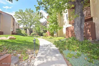 a view of a yard with plants and trees