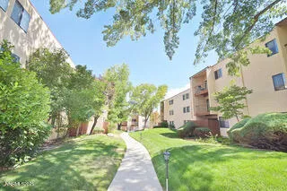 a view of yard with large trees