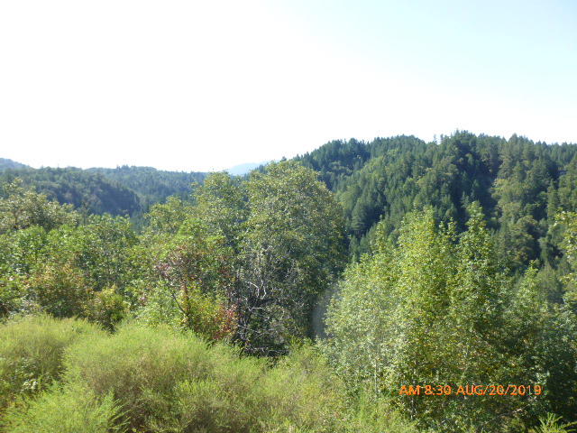 414 Alderpoint Road Garberville, CA 95542 - Photo 3 of 22