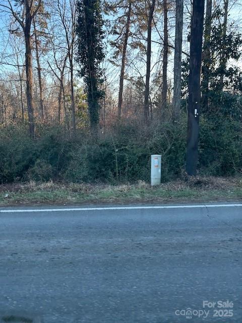 0 North Washington Street Rutherfordton, NC 28139 - Photo 1 of 3 a view of a yard with a trees