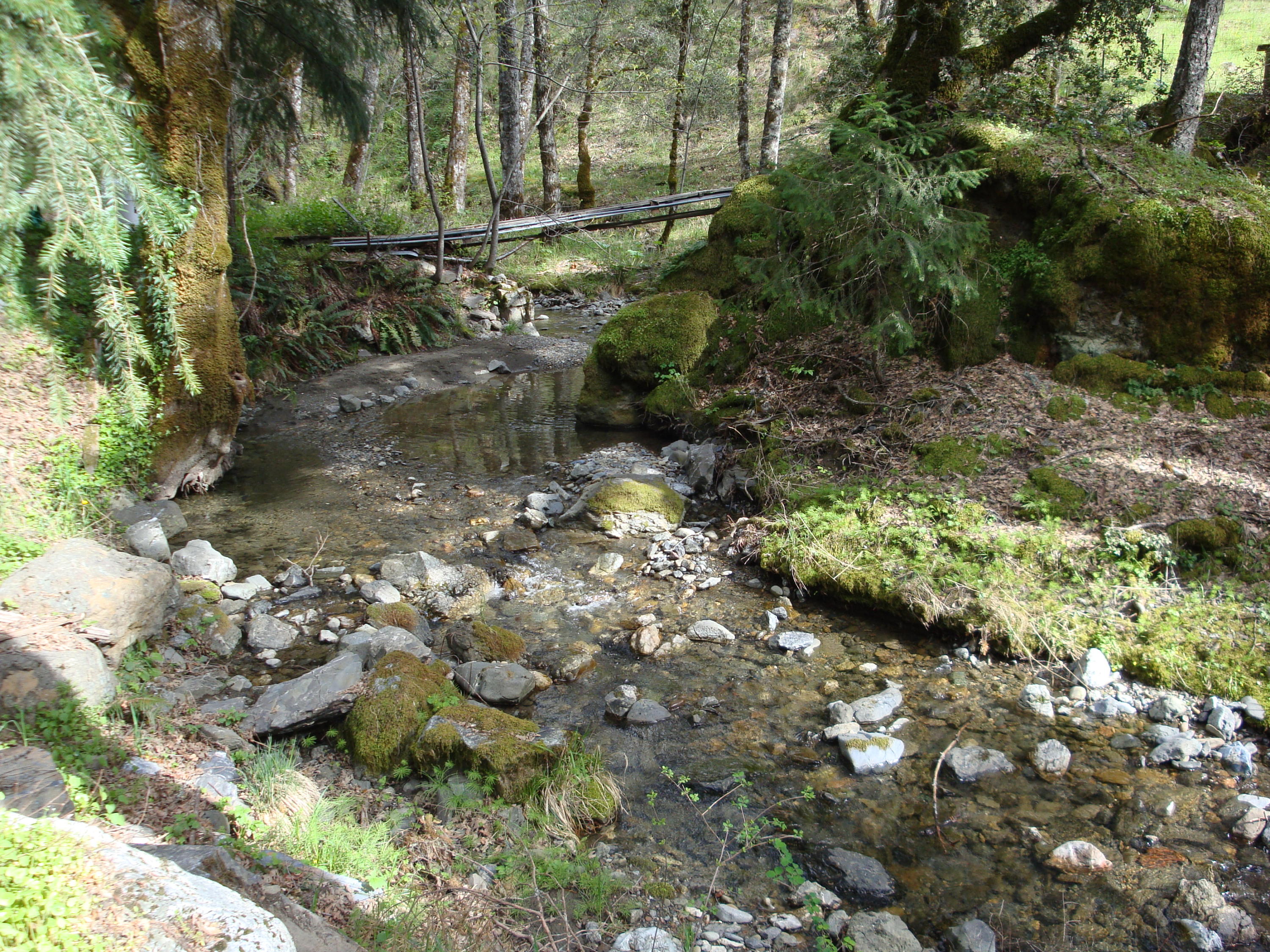 0 Buck Mountain Road Bridgeville, CA 95526 - Photo 27 of 33