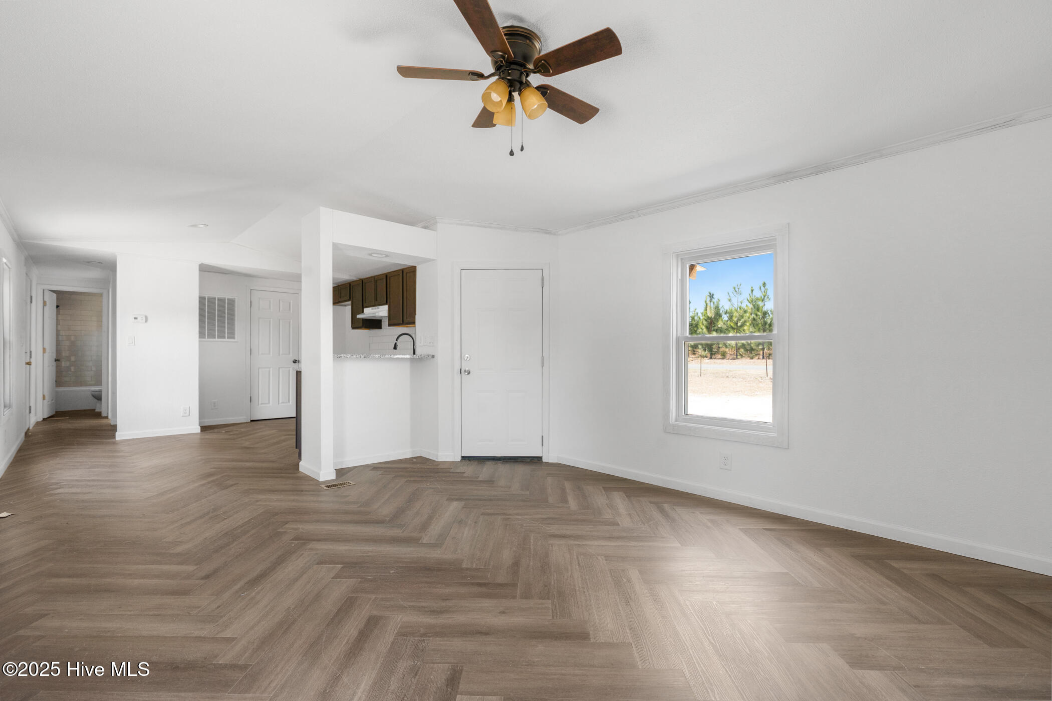 654 Clayton Carriker Road Ellerbe, NC 28338 - Photo 17 of 17 DSC07880