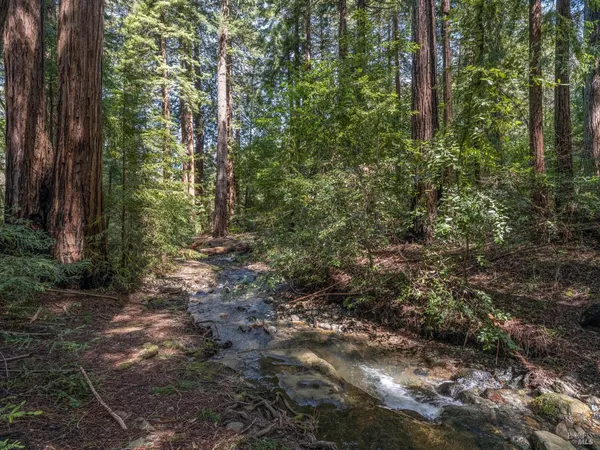 $350,000 | 9 Meadow View Lane, San Geronimo, CA 94963