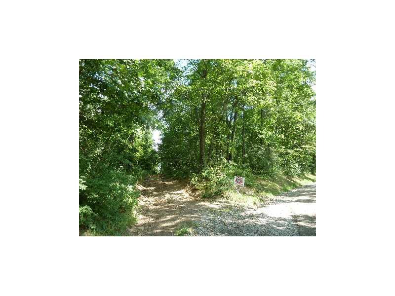 0 Allen Bridge Road Penn Run, PA 15765 - Photo 2 of 2 Land/Lot. Lower edge, 900 from old Rte 422