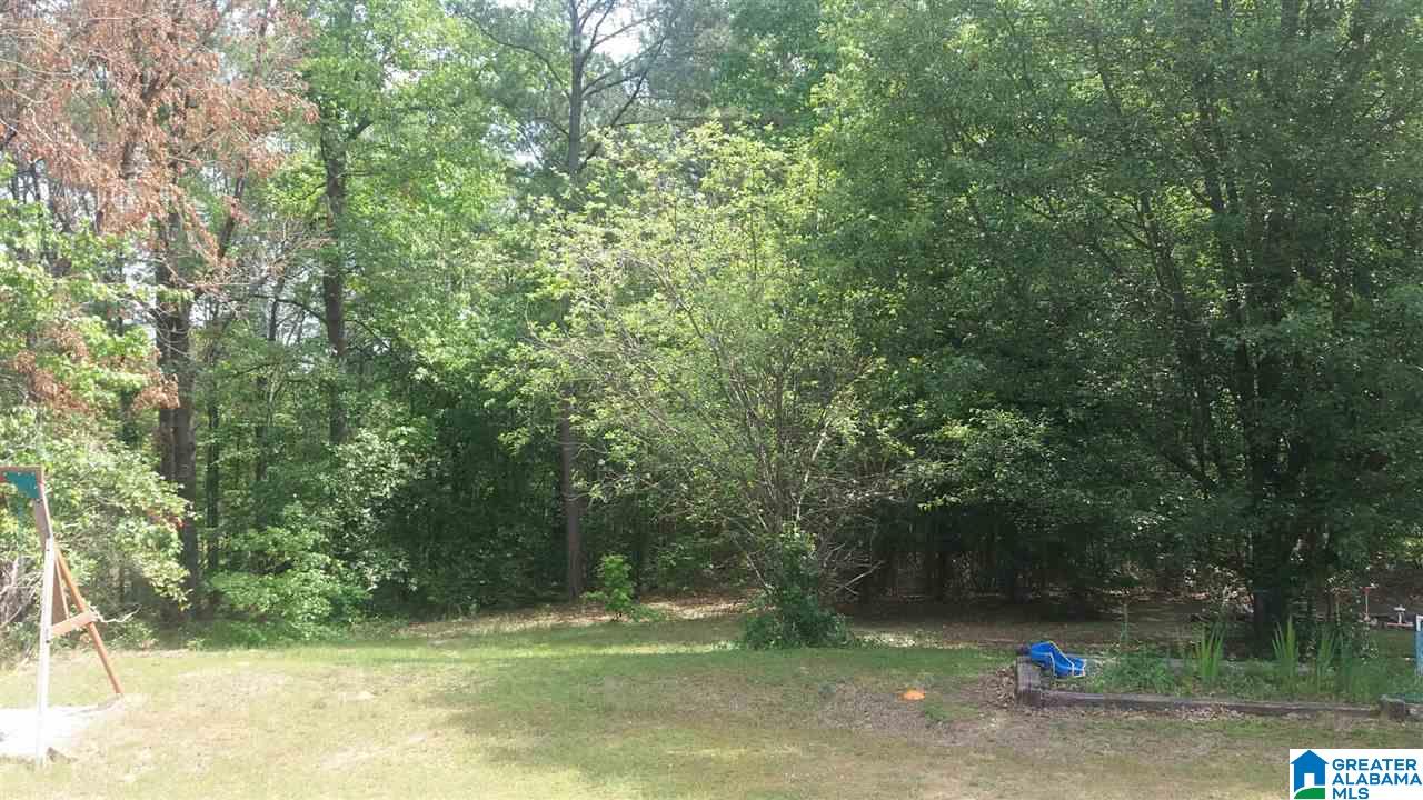 9695 Bankston Road Dora, AL 35062 - Photo 14 of 24
