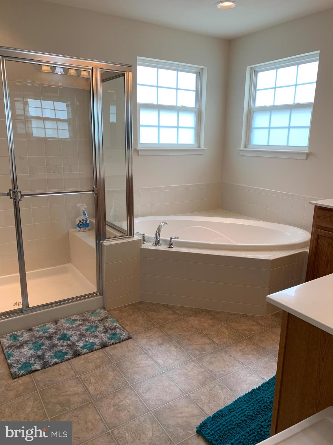 14313 Lusby Ridge Road Accokeek, MD 20607 - Photo 19 of 38 Master Bath - Separate Shower