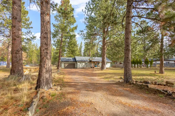 a view of a house with a yard and tree s