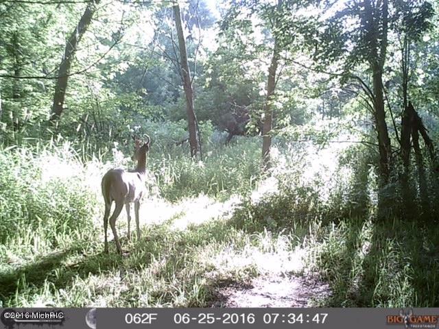 46th Street Decatur, MI 49045 - Photo 13 of 15 hug deer2