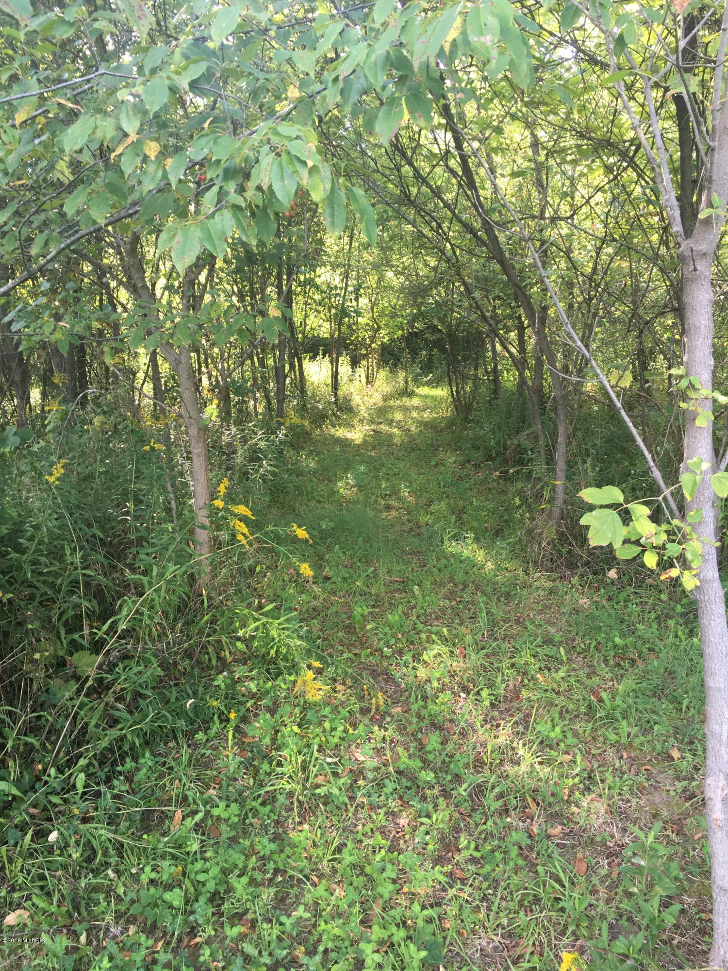 46th Street Decatur, MI 49045 - Photo 14 of 15 067