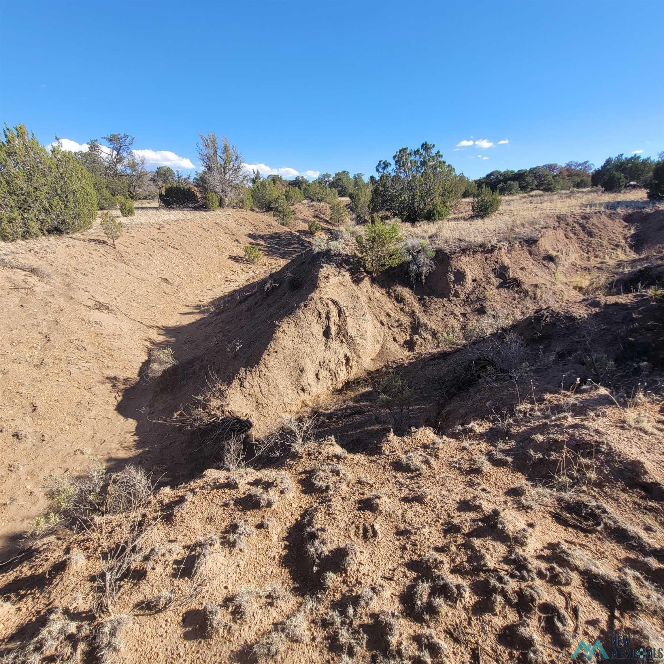 90 Lots 90 And 91 Canyon Drive Datil, NM 87821 - Photo 23 of 26 Gallery Image 23