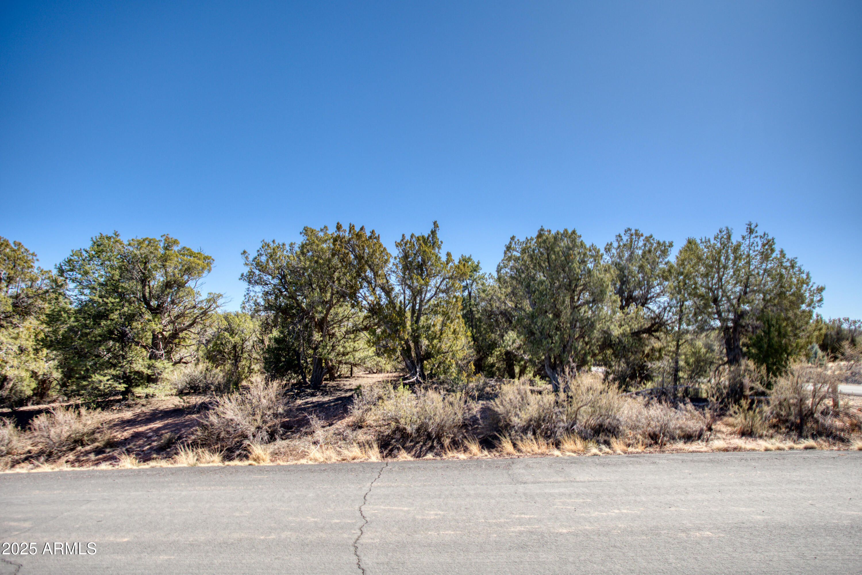 6745 Cheney Ranch Loop, Unit 28 Show Low, AZ 85901 - Photo 8 of 22 Good Trees