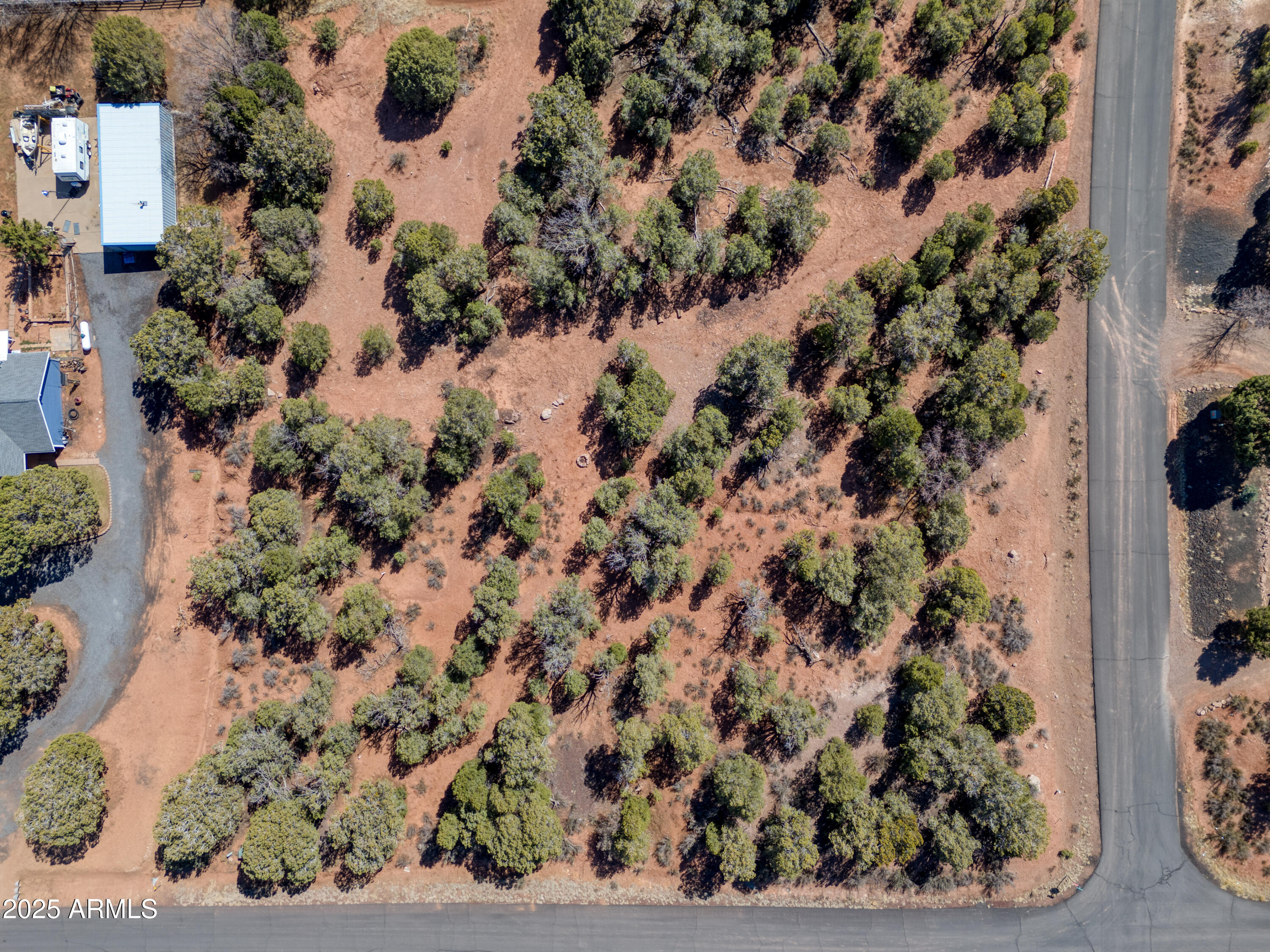 6745 Cheney Ranch Loop, Unit 28 Show Low, AZ 85901 - Photo 10 of 22 Nice Trees