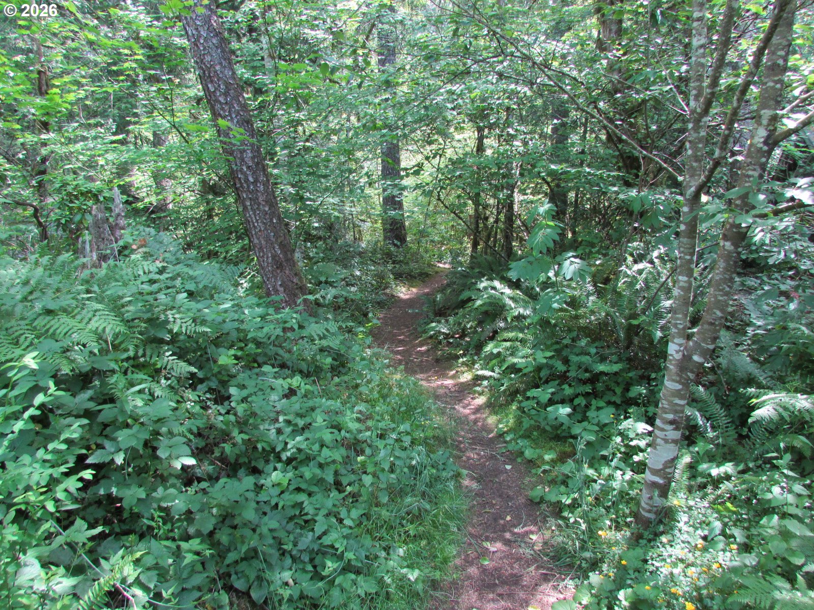 64930 East Mountain Meadow Lane Rhododendron, OR 97049 - Photo 41 of 46