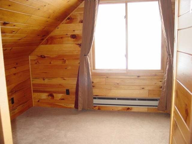 259 Powell Road Manitowish Waters, WI 54545 - Photo 16 of 20 Gallery Image 16