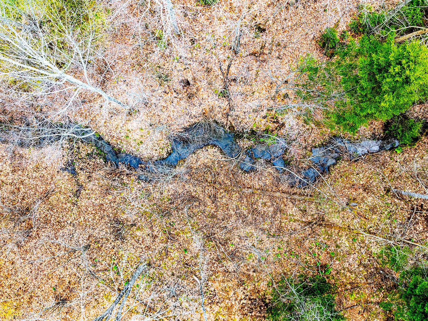 616 Slab City Road Lincolnville, ME 04849 - Photo 40 of 58