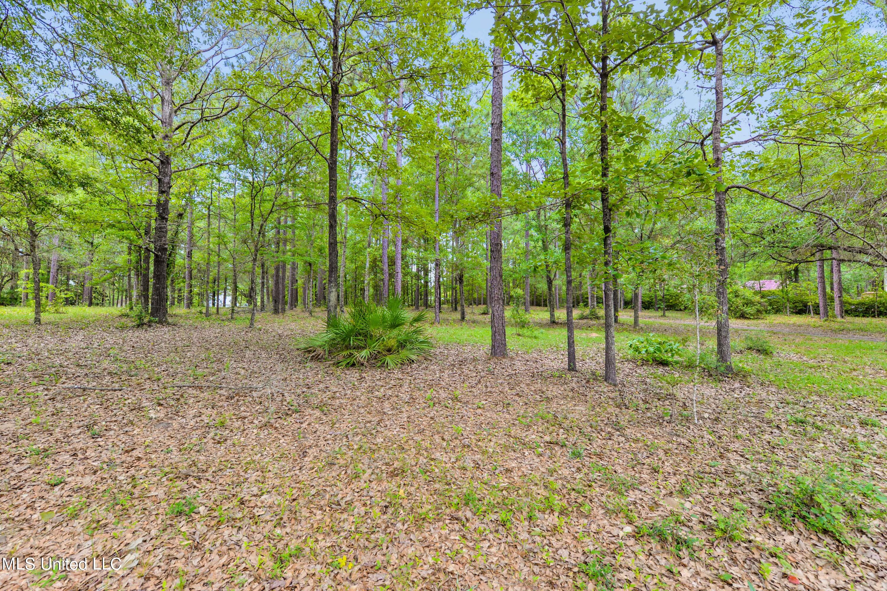 16465 Shaw Road Gulfport, MS 39503 - Photo 11 of 14 015