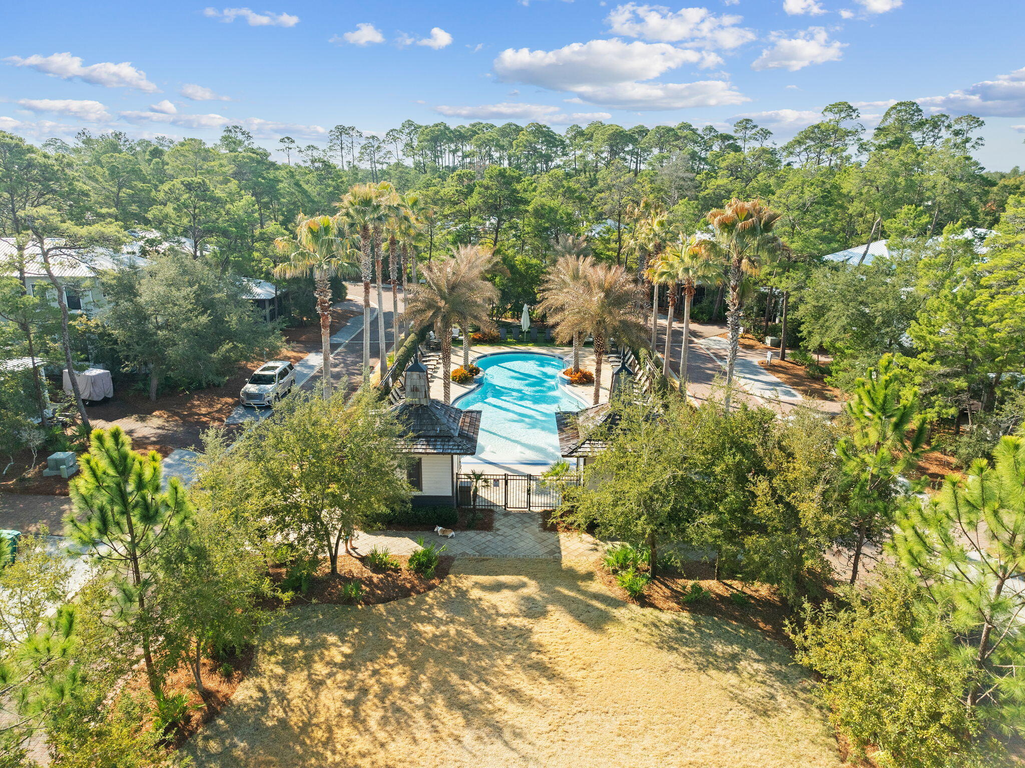25 Canopy Ln Inlet Beach Inlet Beach, FL 32461 - Photo 52 of 60 Array_25CanopyLn-115