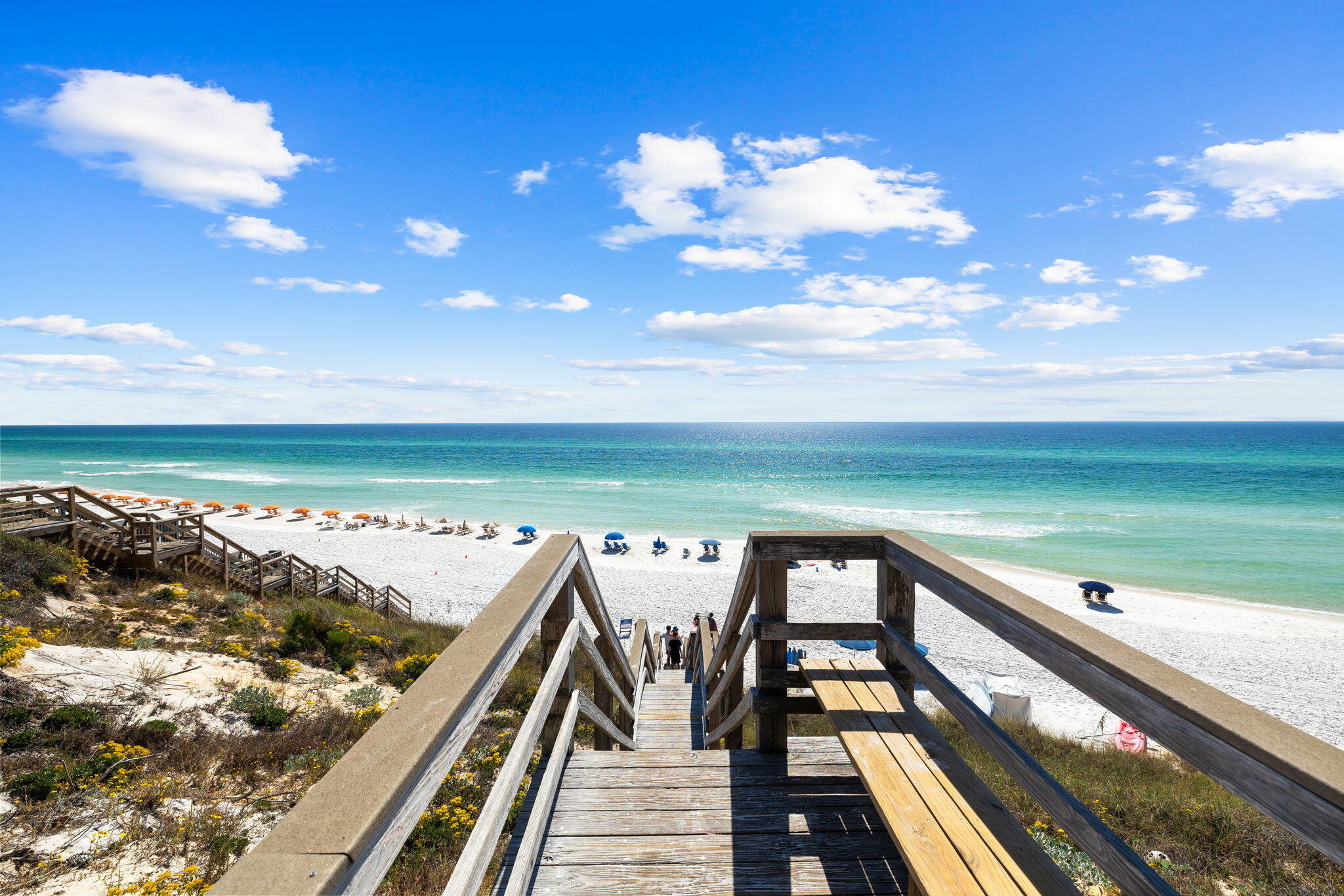 25 Canopy Ln Inlet Beach Inlet Beach, FL 32461 - Photo 56 of 60 Array_25CanopyLn-119