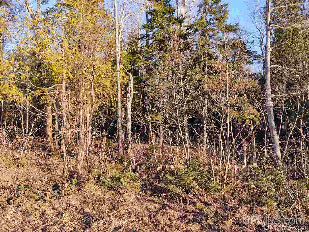 Tbd Sandstone B Road Lake Linden, MI 49945 - Photo 17 of 50